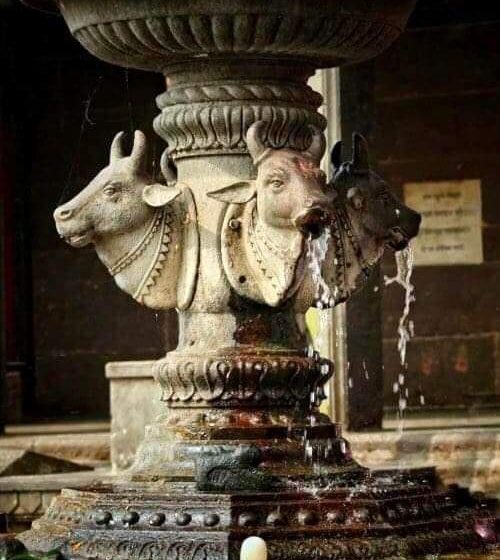  Nandi: Enormous  Bulls  In Front of the Shiva Temples of India