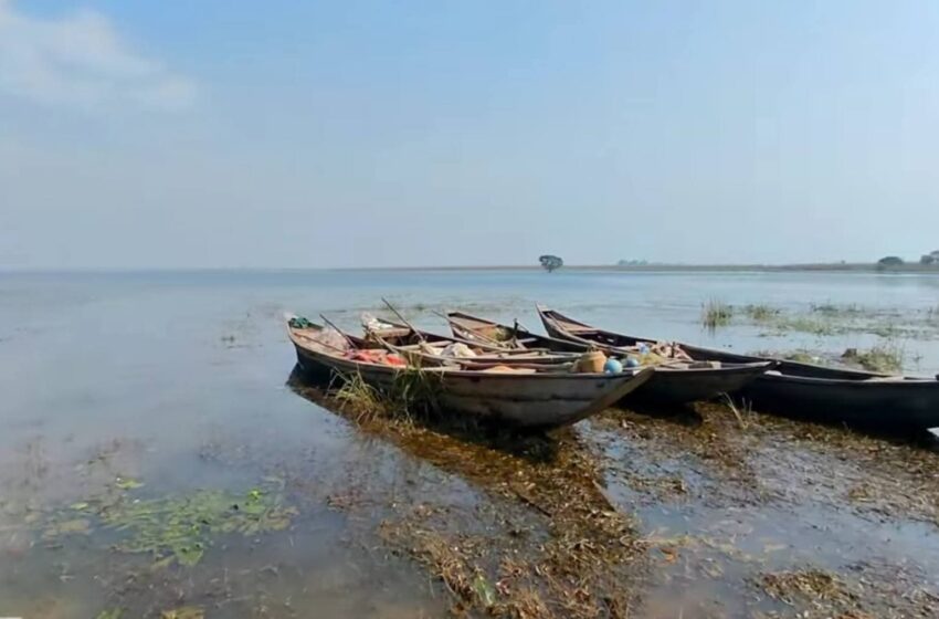  Gobindpur: The Number One Official Birds Village of India