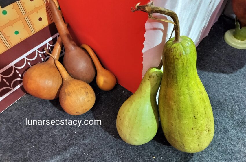  Discover The Most Innovative Lau Tumba  Crafts Of Odisha”