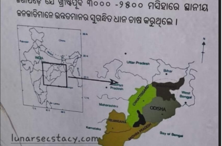  Globally Important Most Ancient Place Of Paddy Cultivation: Koraput:
